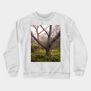 Trees in Mist Crewneck Sweatshirt